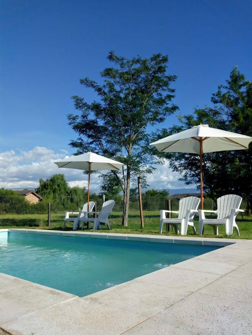 Imagen del jardín